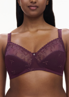 Soutien-gorge Sans Armatures 